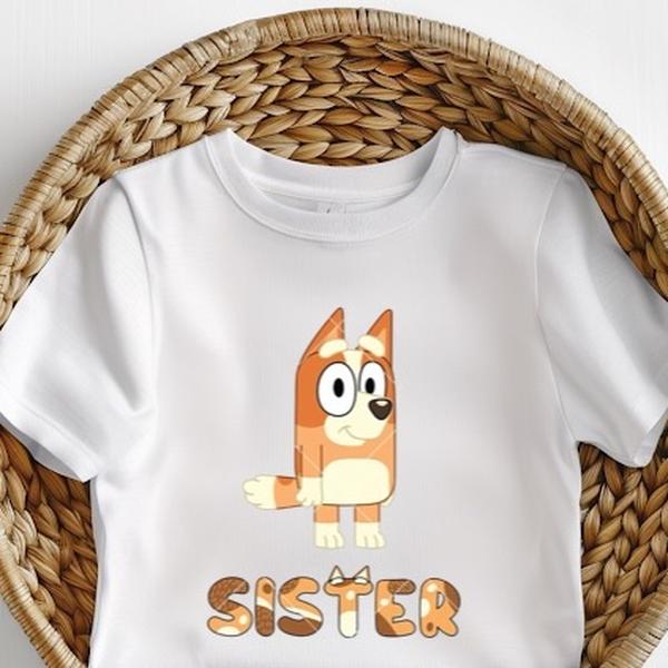 Sister and brother matching kids T-shirts bluey and bingo clothing