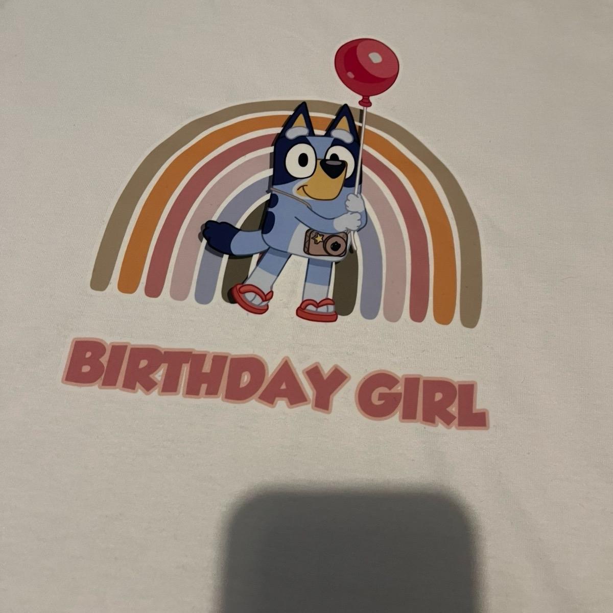 Bluey birthday girl rainbow tshirt girls tee toddler  outfits
