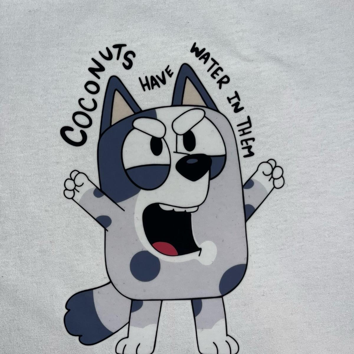Coconuts have water in them muffin kids tshirt unisex bluey inspired toddler boy clothing