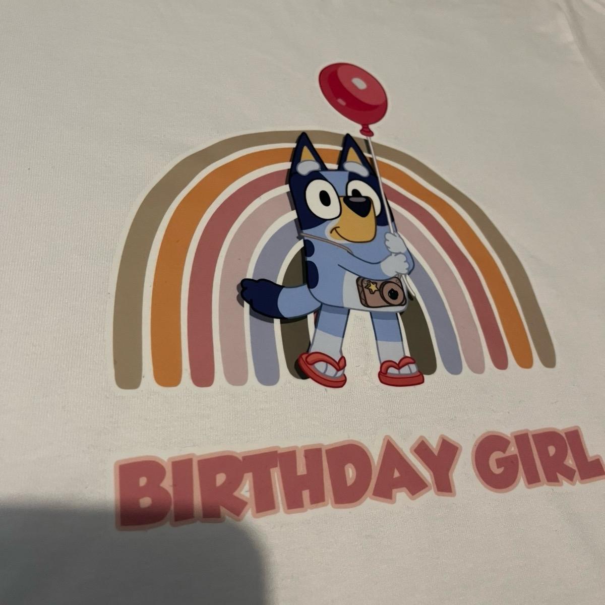 Bluey birthday girl rainbow tshirt girls tee toddler  outfits